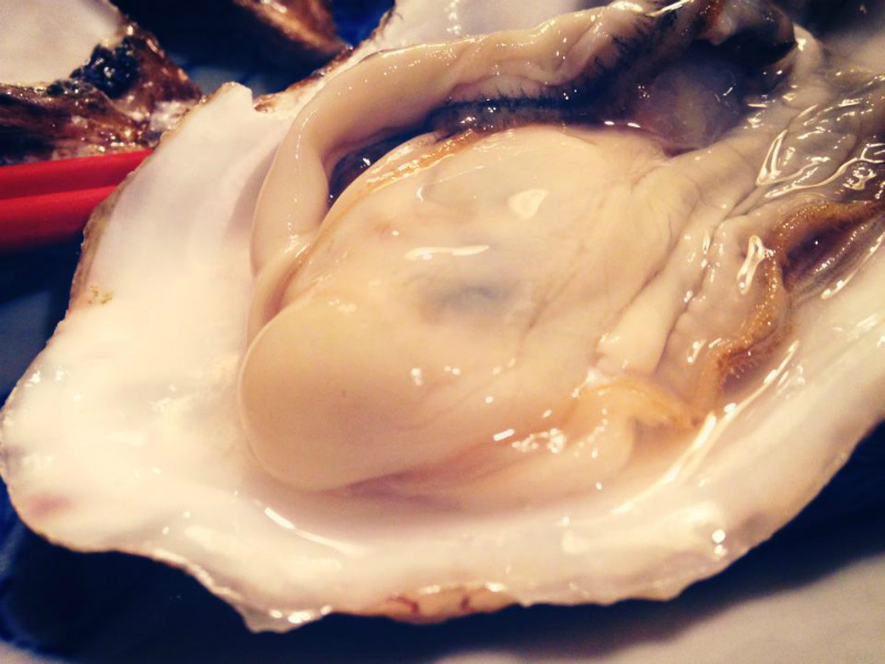 1939652_284794035019630_654842887_n